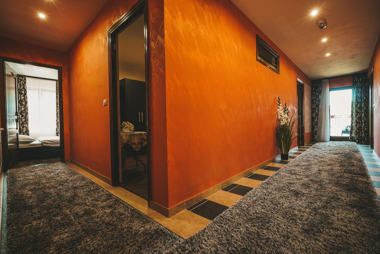 Appartement Eco-Tim à Moisei Extérieur photo